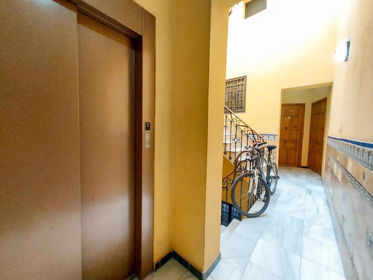 Apartamento Alameda Calatrava Sevilla Bagian luar foto